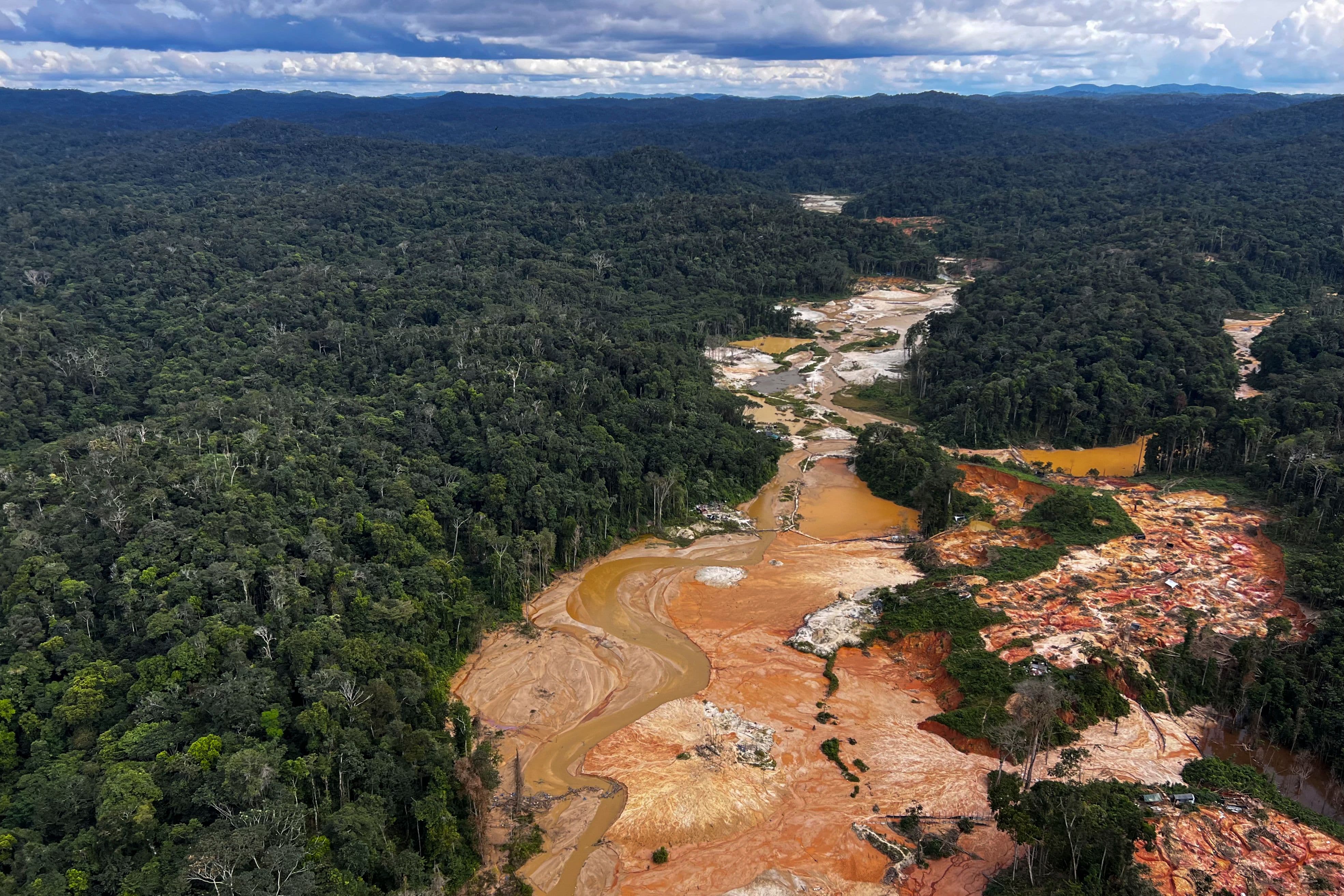 An illegal gold mining operation, viewed from overhead, cuts a scar through a forest.